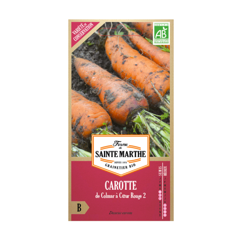 GRAINES CAROTTE DE COLMAR À COEUR ROUGE 2 BIO