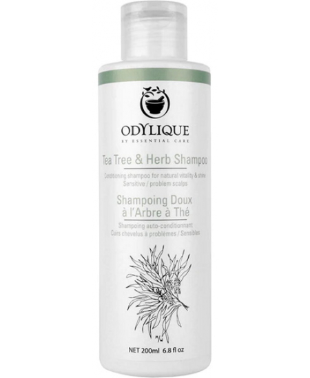 Odylique Shampoing Doux à l'Arbre à Thé 200 ml
