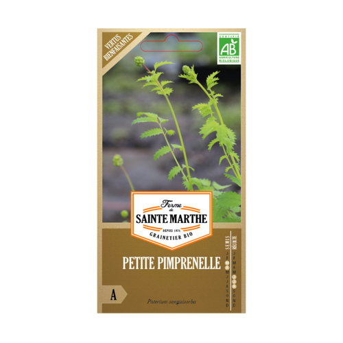 GRAINES PETITE PIMPRENELLE BIO