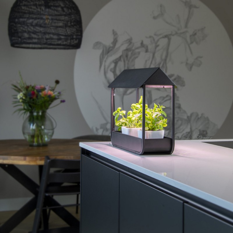 Lampe de culture en LED