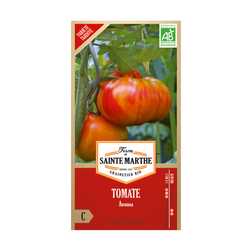 GRAINES TOMATE ANANAS (PINAPPLE) BIO