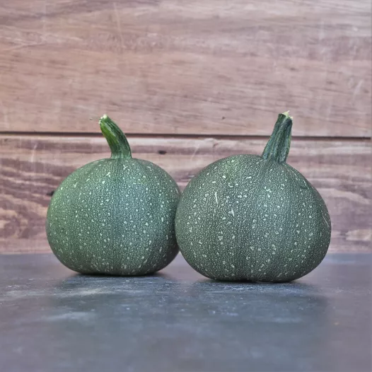 Biologische zaden van Courgette Ronde de Nice