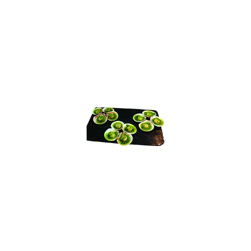 Nature pour le jardin：Pétoncles farcis bio Papilles bio - 150 g