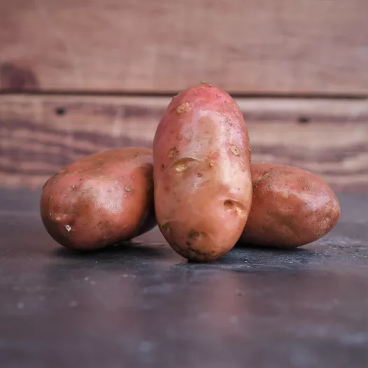 Plants bio : Pomme de terre Désirée-1kg