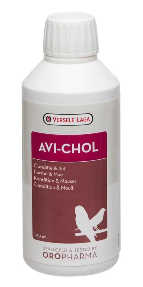 Accessoire au jardin:Complément alimentaire régulation du foie pour oiseaux exotiques format liquide Versele Laga Avi-Chol - 250 ml