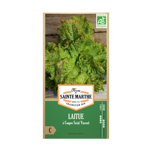 GRAINES LAITUE À COUPER SAINT VINCENT BIO