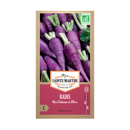 GRAINES RADIS BLAUER HERBST UND WINTER (BLEU D´AUTOMNE ET D´HIVER) BIO
