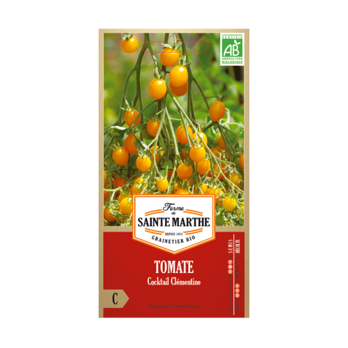 GRAINES TOMATE COCKTAIL CLÉMENTINE BIO