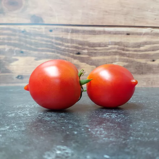 Tomate Merveille de Bastogne | Semences biologiques et reproductibles