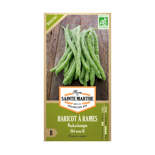 GRAINES HARICOT À RAMES NECKARKONINGIN MANGETOUT BIO - 80G