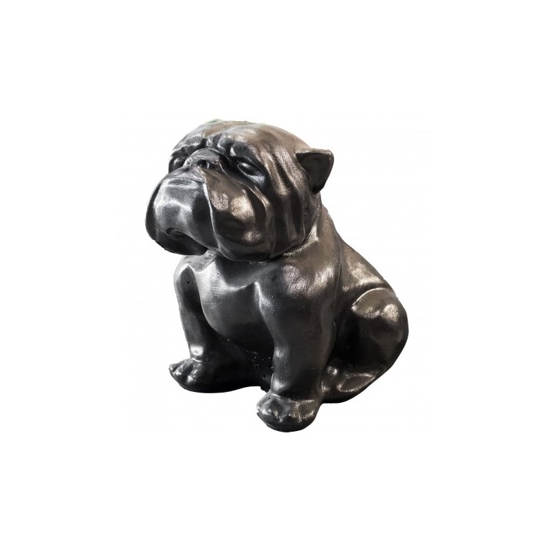 Bouledogue Anglais