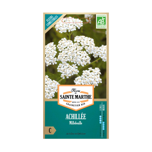 GRAINES ACHILLÉE MILLEFEUILLE BIO