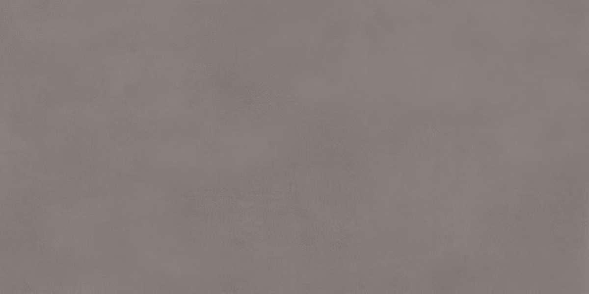 Carrelage effet Béton Gris Ombre 120x60x0 – 9 cm Mat Montera | Sol et mur intérieur (vendu par carton de 1 | 44 m²) | RO'MA CARRELAGE