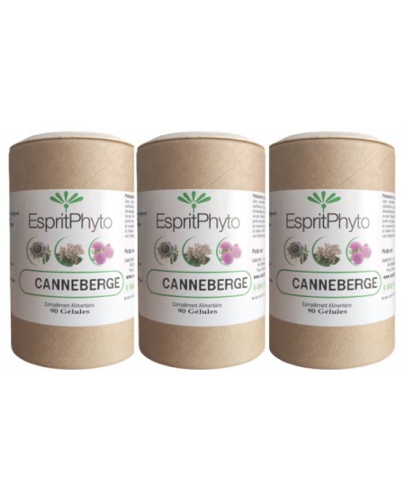EspritPhyto - Cranberry - Cure de 2 mois (3 boîtes de 90 gélules)