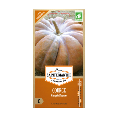 GRAINES COURGE MUSQUÉE MUSCADE BIO