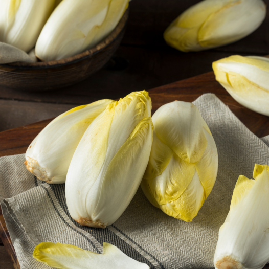 Racines de chicons ou endives à forcer bio. Par 20 racines