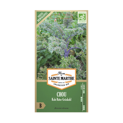 GRAINES CHOU KALE ROTER GRUNKOHL BIO