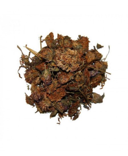 Herboristerie de Paris - Trèfle rouge fleur - 100gr