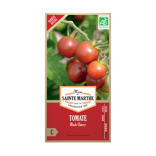 GRAINES TOMATE BLACK CHERRY BIO