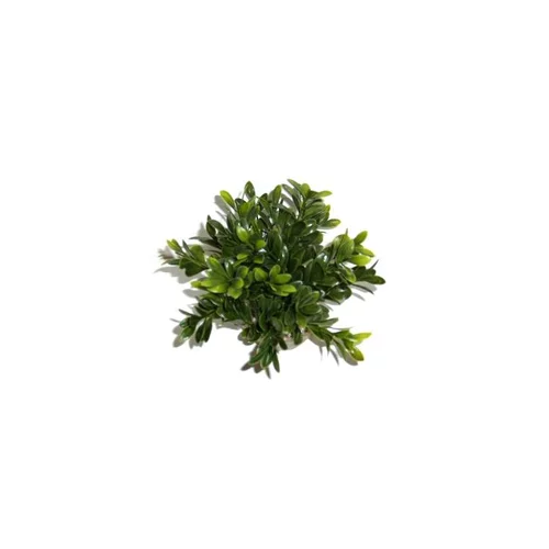 Univers jardin：Massif rond coloré vert en plastique 10 x 15 cm