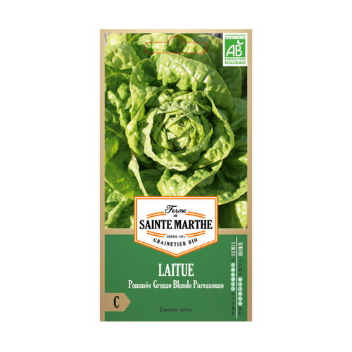 GRAINES LAITUE GROSSE BLONDE PARESSE BIO