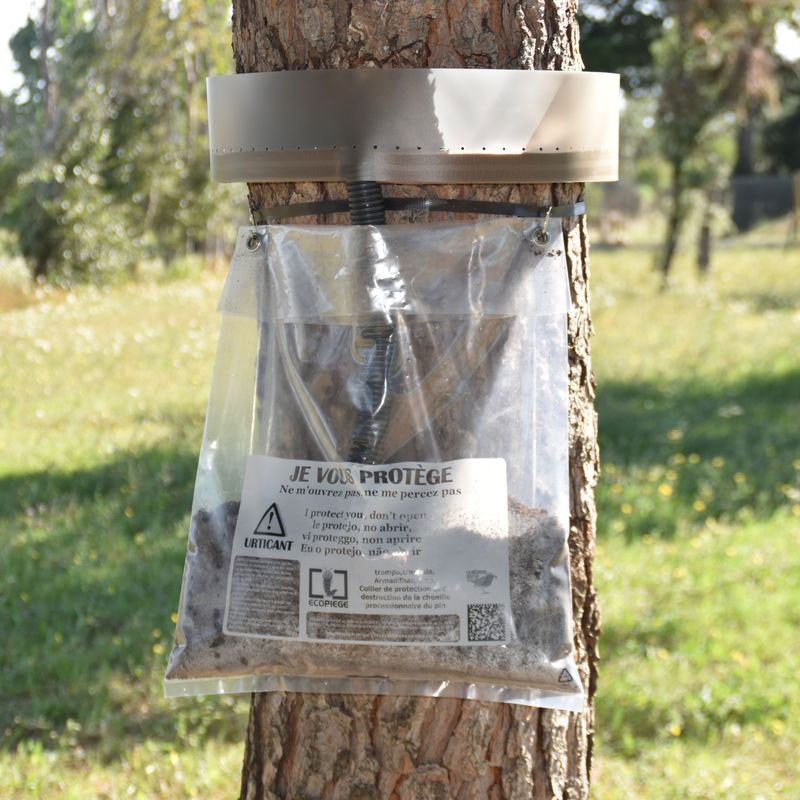 Piège pour les chenilles processionnaires du pin - sac transparent