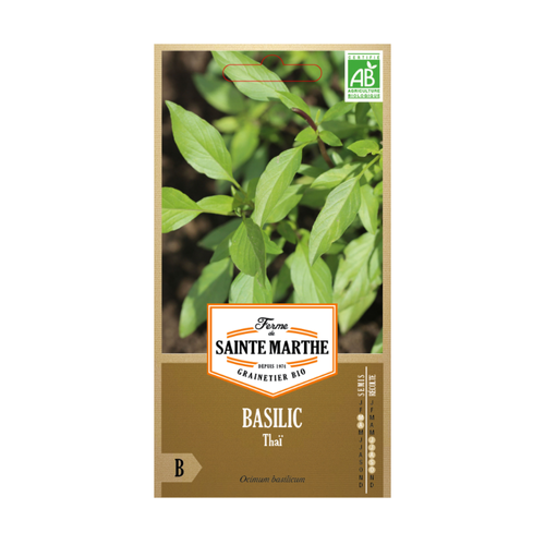 GRAINES BASILIC THAÏ BIO
