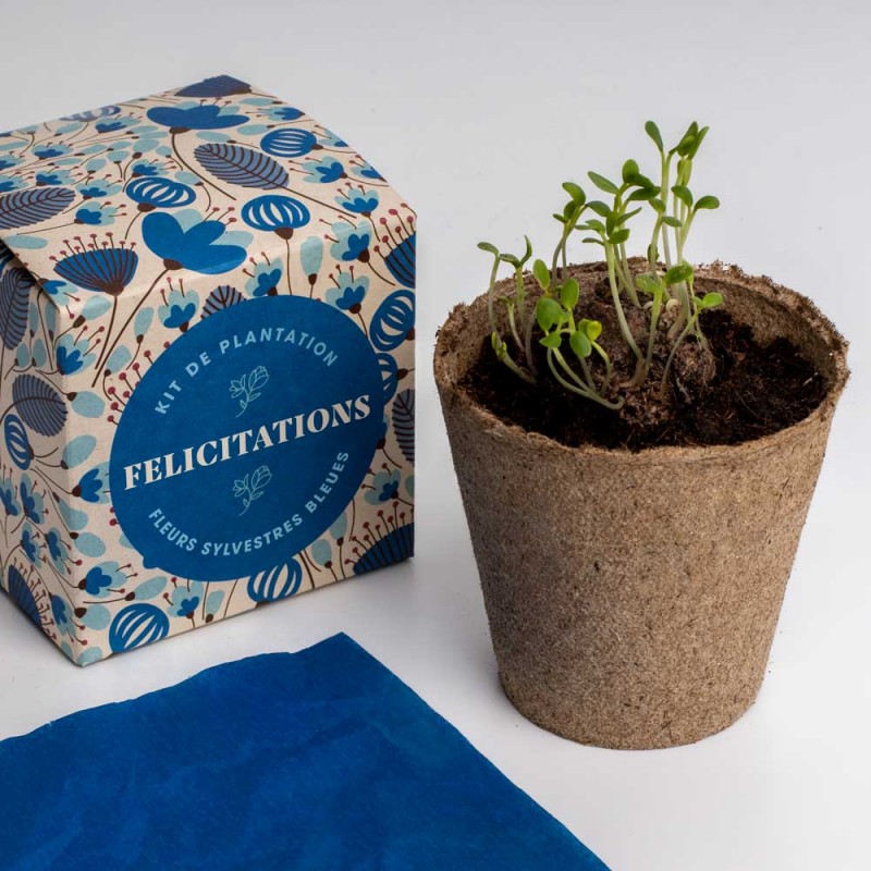 Kit de plantation Dites-le avec des Fleurs - 4 modeles
