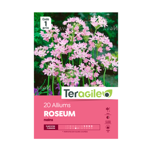 BULBES D'ALLIUMS 'ROSEUM' NAINS - TERAGILE® - X20