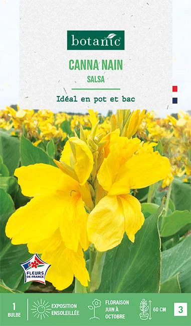 Une solution pratique pour le jardin：Bulbe de fleurs Canna nain Salsa botanic® - 1 bulbe