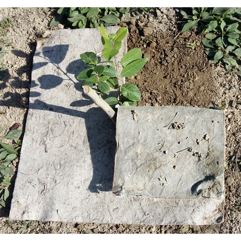 Toile de paillage en chanvre DUOPROTECT- Dalles ou rouleaux
