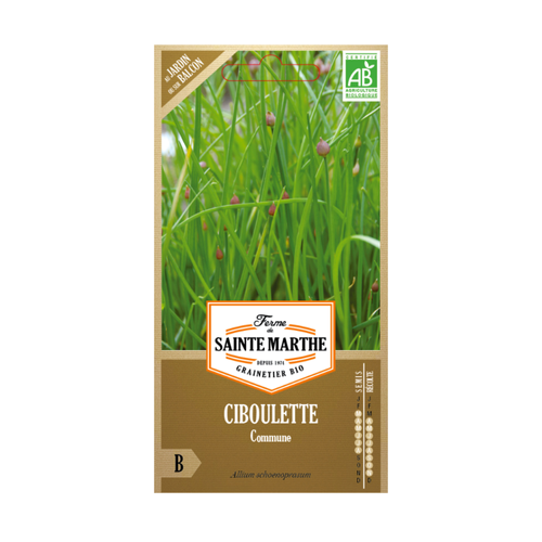 GRAINES CIBOULETTE COMMUNE BIO