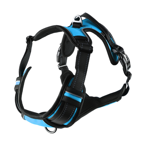 HARNAIS POUR CHIEN BALOU FLAMINGO® - BLEU - L