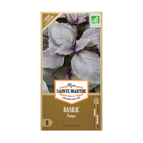 GRAINES BASILIC POURPRE BIO