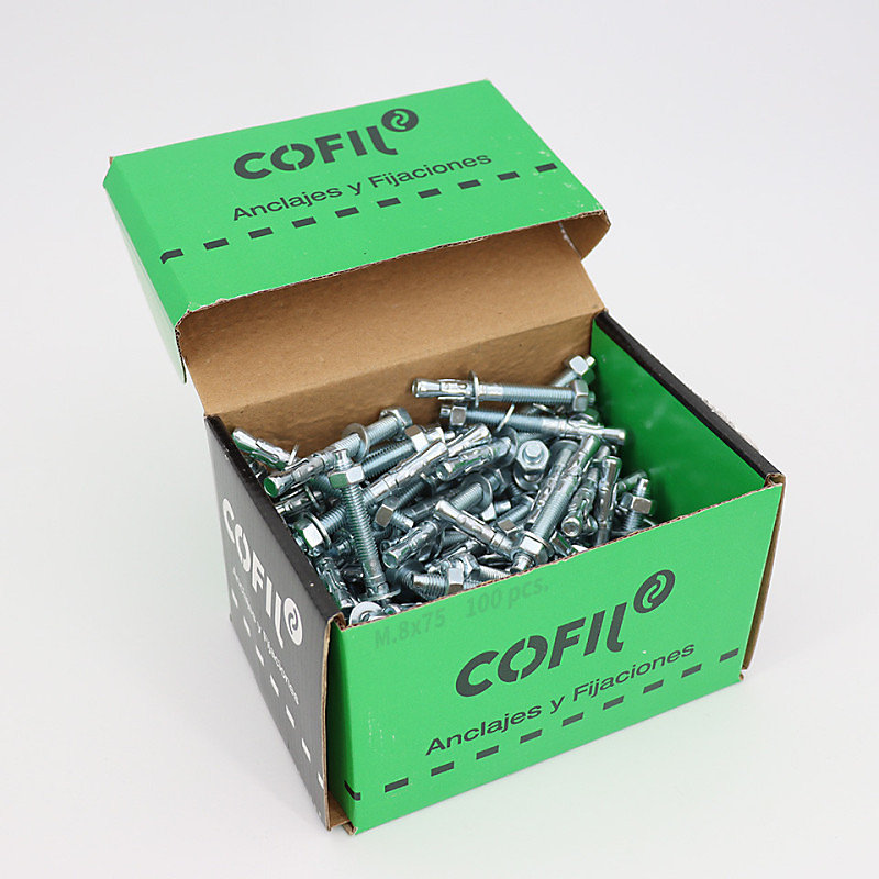 Boite de 100 Goujons d'ancrage métallique M.8 × 75mm