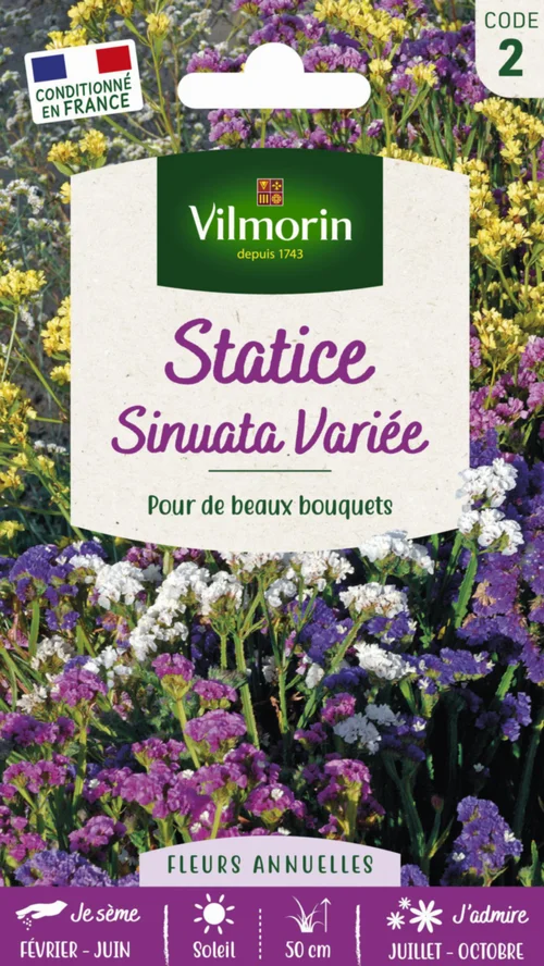 À découvrir pour le jardin：Graines de Statice Sinuata variée Vilmorin - graines à semer