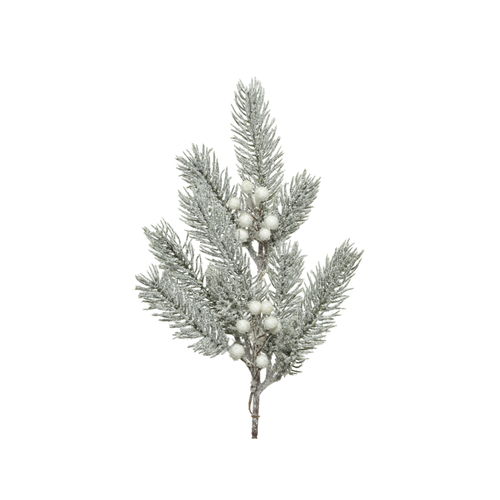 BRANCHE ENNEIGÉE BAIES BLANCHES