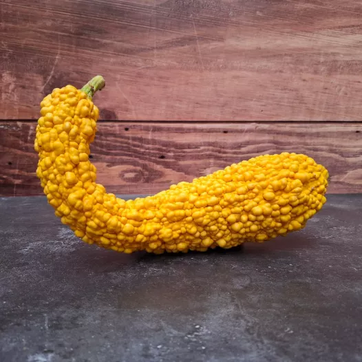 Courgette Popcorn | Biologische en reproduceerbare zaden