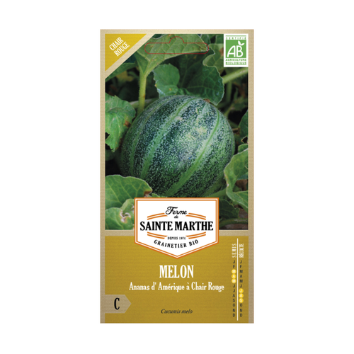 GRAINES MELON ANANAS D'AMÉRIQUE À CHAIR ROUGE BIO