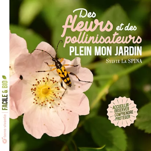 Semailles - Des fleurs et des pollinisateurs plein mon jardin