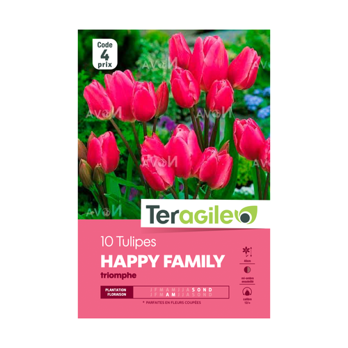 BULBES DE TULIPES 'HAPPY FAMILY' TRIOMPHE - TERAGILE® - X10