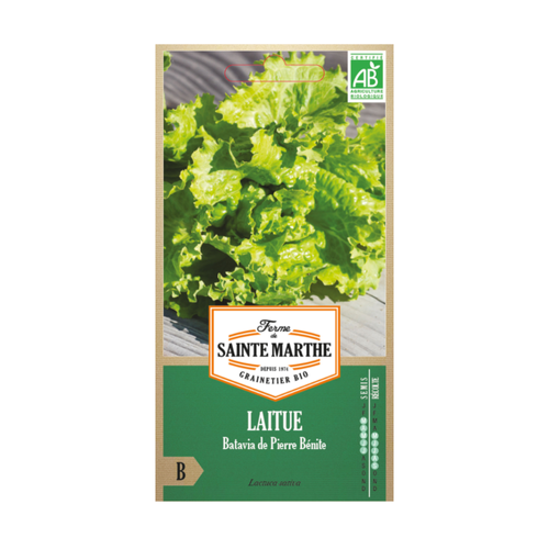 GRAINES LAITUE BATAVIA DE PIERRE BÉNITE BIO