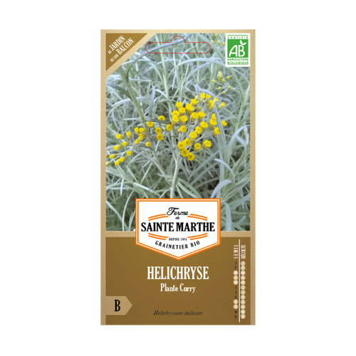GRAINES HÉLICHRYSE PLANTE CURRY BIO