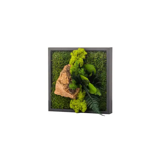 Tout pour le jardin：Cadre stabilisé canopée mono noir Naturalys - 22 x 22 cm