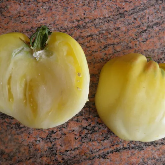 Biologische zaden van Tomaat Coeur de Boeuf Blanche