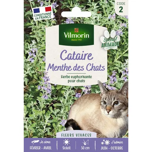 Pour simplifier le jardin：Cataire spéciale pour animaux Menthe des Chats Vilmorin - graines à semer