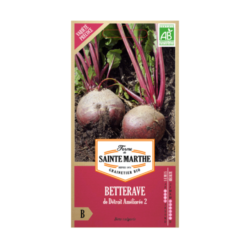 GRAINES BETTERAVE DE DÉTROIT AMÉLIORÉE 2 BIO