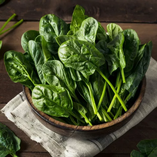 Zaadkit : Mijn wintermoestuin