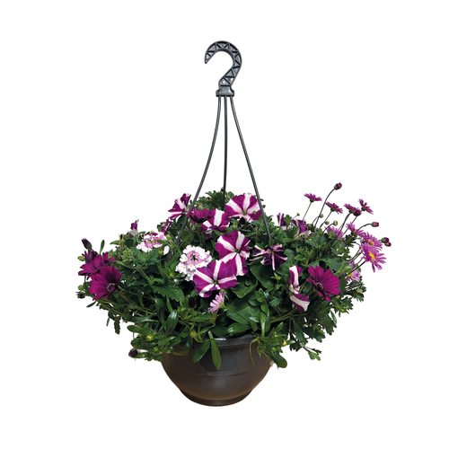 SUSPENSION ANGLAISE POT ∅27CM