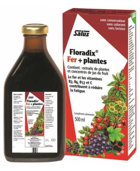 Salus Floradix fer + plantes flacon 500 ml